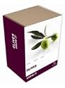 Gift Republic: Grow It. Grow Your Own Olives