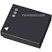 Digital Concepts BP-007CL-R 1000 mAh Replacement Battery for Panasonic S007