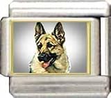 Clearly Charming German Shepherd Italian Charm