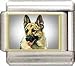 Clearly Charming German Shepherd Italian Charm