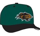 Minor League Baseball Cap - New Hampshire Fisher Cats Alt Cap by New Era
