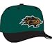 Minor League Baseball Cap - New Hampshire Fisher Cats Alt Cap by New Era