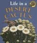 Life in a Desert Cactus (Microhabitats)