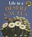 Life in a Desert Cactus (Microhabitats)