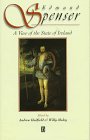 A View of the State of Ireland