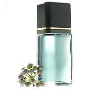 Tribute® for Men Spray Cologne 3.1 FL. OZ. / 91 mL