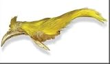 Golden Pheasant Crest Feathers Fly Tying Materials