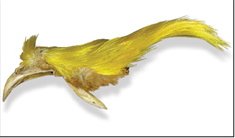 Golden Pheasant Crest Feathers Tying Materials