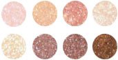 Colorevolution Eye Shadow Shimmer Spice 8 Stacks