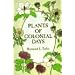 Plants of Colonial Days