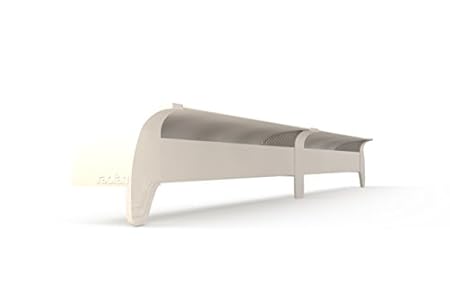 Radfan Classic MAX review