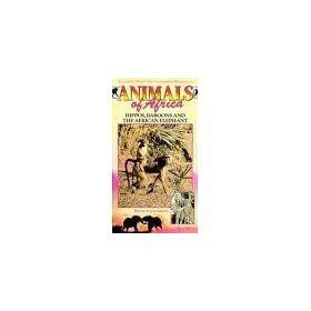 Hippos & Baboons [VHS]