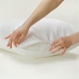 Bed Bug Proof Zippered Pillow Cover 21" X 27" - 2 Pack