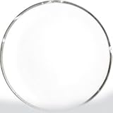 IMAGE OF Bernardaud Silver Leaf Fidji Dinner Plate