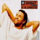 In the Summertime - Shaggy