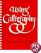 Using Calligraphy: A Workbook of Alphabets, Projects, and Techniques