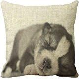 Richess Husky Pillow Cases For Throw Pillows Sleep Cushion Pillow For Sofa