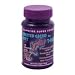 T-Rex Sandfire Super Foods Crested Gecko Diet MRP Meal Replacement Powder