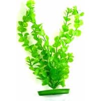 HAGEN Aquascaper LARGE PLANT MONEYWORT by HAGEN AQUARIUM P