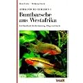 Afrikanische Cichliden, 2 Bde., Bd.1, Buntbarsche aus Westafrika: Ein Handbuch f�r Bestimmung, Pflege und Zucht