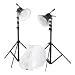 Photo : Bowens TriLite Still Life Set, Two Daylight Fluorescent Lighting Set for Digital Cameras, with Stands & Redwing Cocoon.