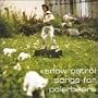 Songs for Polar Bears