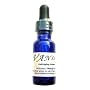 Vanish Age Fading Wrinkle Serum with Triple Refined Emu Oil by Watts Beauty / 1/2 Oz Dropper Bottle