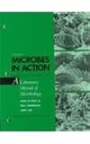 Microbes In Action 4/E: A Laboratory Manual of Microbiology