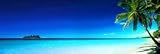 1art1 32410 Strände - Strand, Palmen Am Morgen (b) Tür-Poster (158 x 53 cm) 1art1 32410 Strände - Strand, Palmen Am Morgen (b) Tür-Poster (158 x 53 cm)
