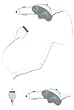 NEW CAR CHARGER for Apple iPod Video Nano iPhone touch