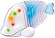 i-Fish