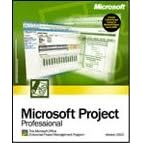 Microsoft Project Professional 2002