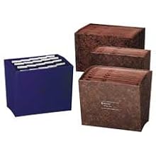 Wilson Jones ColorLife Insertable Tab Expanding File, 17 Inch Expansion, 21 Pockets, 10 x 12 Inches, Red (W23287)