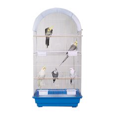 Brainy Bird Roost Cage