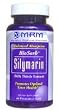 BioSorb Silymarin - 60 - Capsule