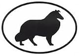 Shetland Sheepdog Sticker