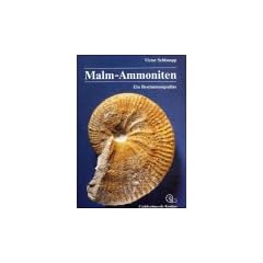 Malm-Ammoniten. Bestimmungsatlas der Gattungen und Untergattungen aus dem Oberjura S�ddeutschlands, der Schweiz und angrenzender Gebiete
