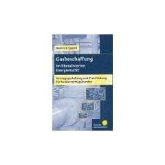 Gasbeschaffung im liberalisierten Energiemarkt