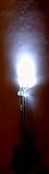 5mm White LED (4 pack)