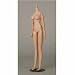 �I�r�c�{�f�B S60 27BD-F07N-G ����Body SBH-L MG �i�`������