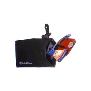 Smith Wesson Glass Carrying Case