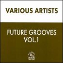 Revue Various Artists  / Future Groove: Essential Drum 'n' Bass