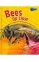 Bees Up Close (Raintree Perspectives)