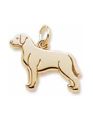 Rembrandt Charms, Labrador Retriever Dog Charm, 10K Yellow Gold, Engravable
