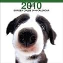Border Collie 2010 Wall Calendar