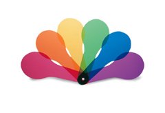 COLOR PADDLES 18-SET 6 TRANSPARENT