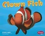 Clown Fish (Under the Sea)