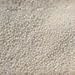 Tiny White Non-Pareils