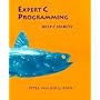 Expert C Programming von Peter Van Der Linden