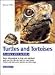 TURTLES & TORTOISES - FAMILY PET SERIES BOOK